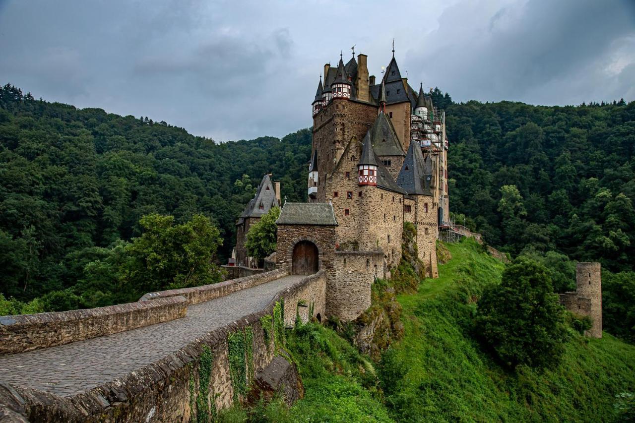 Wein Und Gaestehaus Scheid ザンクト・アルデグント エクステリア 写真